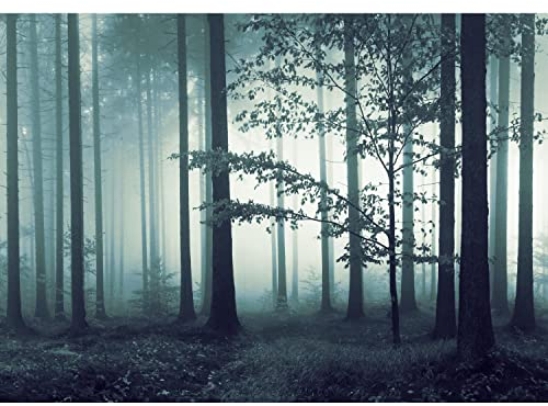 Runa Art Fototapete Wald Nebel 352 x 250 cm Vlies Tapeten XXL Moderne Wandtapete Wohnzimmer Schlafzimmer Türkis 9291011b