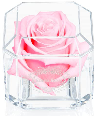 Eternal Petals A 100% Real Rose That Lasts Years, Handmade in UK – White Gold Solo (Light Pink)
