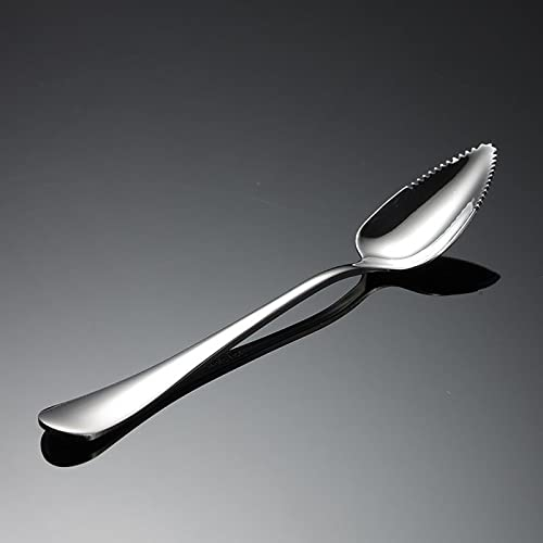 Cuillère à pamplemousse en acier inoxydable, acier inoxydable, passe au lave-vaisselle, acier inoxydable poli