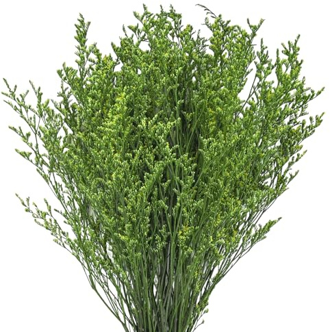 Fleurs séchées, Bouquet de Fleurs de Statice séchées, compositions DIY pour la décoration de Votre Chambre et de Votre Salon (100 g)