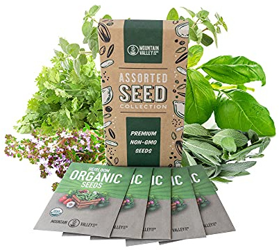 Organic Italian Herb Garden Seed Collection - 5 Non-GMO, Organic Seed Packets - Oregano, Thyme, Basil, Sage, Cilantro - Kitchen Culinary Herb Gardening Seeds