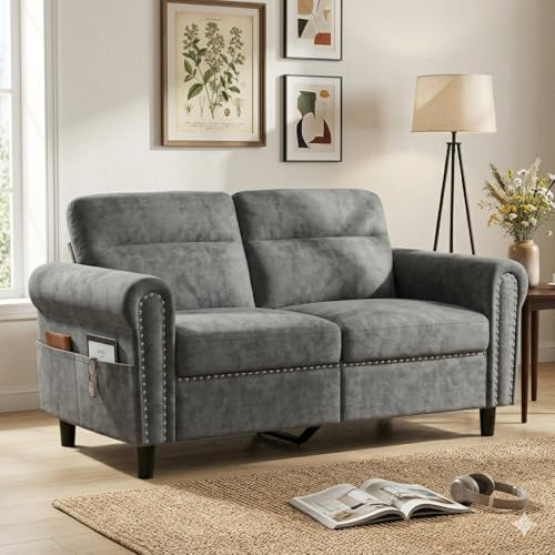 Blishom Divano a 2 posti,divanetto con tasca laterale,divano a due posti con cuscini di seduta rimovibili per soggiorno,camera da letto, ufficio,152 x 76 x 84 cm,Grigio scuro (Grigio scuro)