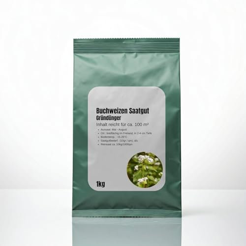 Gründüngersaat Buchweizen, Bodengesundheit nachhaltig verbessern, Bodenlockerung, Bienenfreundlich (1kg für ca. 100m²)