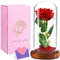 Cirulli Kit de Rosas,La Bella y La Bestia Rosa Encantada,Elegante Cúpula de Cristal con Base Pino Luces LED,Beauty and Regalos Magicos Decoración para Valentín Aniversario Bodas,Flores preservadas