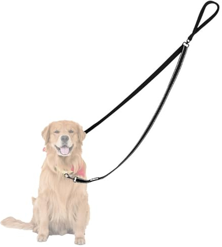 Two Point Control Dog Leash, Double Ended Lead for Dogs, Nylon Single Lead, Adjustable Hands Free Leash for Large Medium Small Dogs Walking Running Training