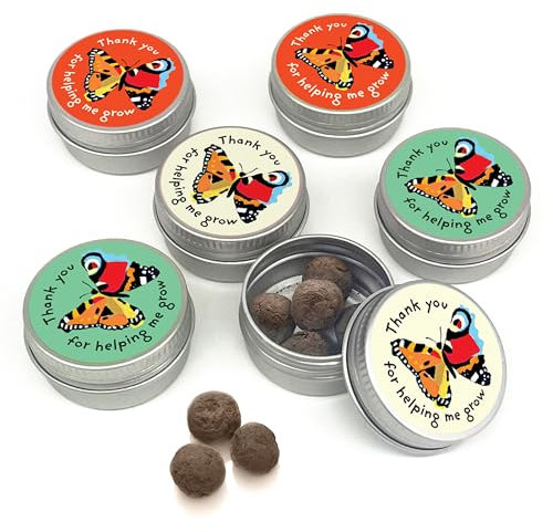SEEDBALL Wildflower Seeds Thank You Gifts | Set of 6 Mini Tins | Bee Friendly British Wild Flower Seed Mix - Red Campion, Musk Mallow, Cornflower Seeds for Bees, Butterflies & Garden Wildlife