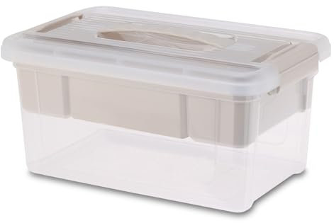 Spetebo Kunststoff Sortierbox mit Tragegriff - 29 x 19 cm - Nähkästchen mit entnehmbaren Fächern - Multi Box Mehrzweck Aufbewahrungsbox Organizer für Handarbeit Bad Büro Malen Basteln