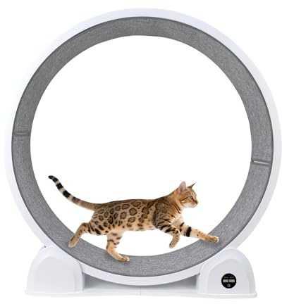 Cat Exercise Wheel with Pedometer, 43.3” Large Cat Treadmill with Carpeted Pads, ABS Cat Running Wheels for Indoor Cats, Easy to Install