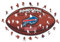 Iconic Puzzles, Buffalo Bills Crest, 100% ökologisch nachhaltiges Holzpuzzle mit offizieller Lizenz, Größe M, 270 Teile