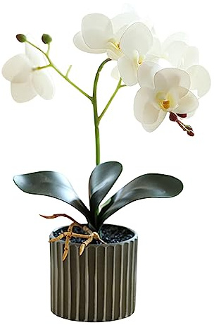 Dekorativa konstgjorda blommor, konstgjord orkidé 30 cm hög realistisk orkidé i en kruka äkta touch dekorativa bonsai blommor för bordsuppsatser vardagsrum heminredning vit