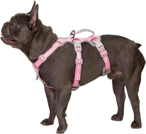 Huntboo Escape Proof Dog Harness, No Pull Reflective Harness with Lift Handle, Adjustable Pet Vest with Front and Back Leash Clips for Small Medium Large Dogs Walking Hiking Training (Pink,L)