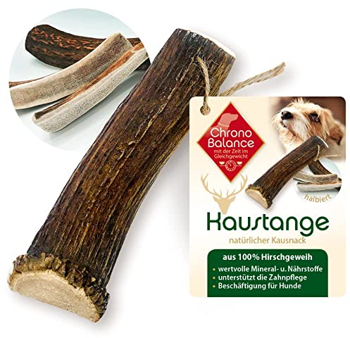 ChronoBalance-XXL Corno di Cervo per Cani, Confezione da 1, Dimezzato, 100% Naturale, Osso di Cervo, Cura Dentale, Giocattolo per Cani, Senza Sostanze Chimiche, Lunga Durata