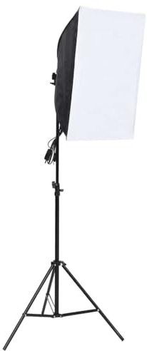 vidaXL Professionell studiobelysning 60x40 cm, studioljus, studio belysning, kamerabelysning, ljusset, kamera belysning, fotobelysning
