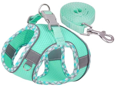 Hundegeschirr Kleine Hunde mit Leine, Step-in Geschirr Air Mesh Reflektierend Atmungsaktiv Brustgeschirr Sicherheitsgeschirr Katzengeschirr Welpengeschirr Katzengeschirr für Kleine (Mint Green, XXS)