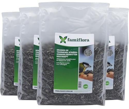 Famiflora Graines de tournesol rayées 10kg (4x 2.5kg) - Nourriture d'hiver en vrac - Non pelées - Snack naturel Oiseaux de jardin - Riche en énergie