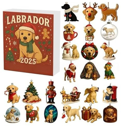 Nedräkningskalender, 24 dagar advent hund nedräkning, 2D akryl hund prydnad hänge för barn flickor pojkar vuxna vänner valpälskare nyår semester fest presenter