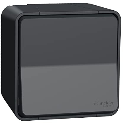 Schneider Electric - Mureva Styl - Interrupteur bipolaire - saillie - IP55 - IK08 connex auto - gris - MUR35033