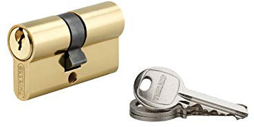 THIRARD - Cylindre à clé crantée 25 x 30 mm laitonné 3 clés