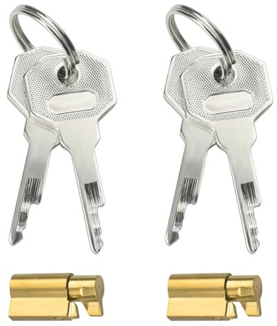 Roluck Gabbie per pene Accessori per Cintura di Castità, Lucchetto Invisibile in Metallo per Cintura di Castità Maschile, Chiavi per Cintura di Castità (2 x 2 Chiavi)