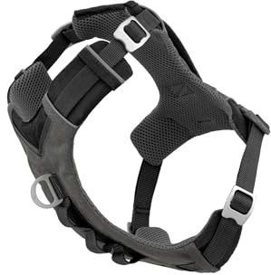 Kurgo Harnais pour Chiens Journey Air, pour la randonnée, Courir et Marcher Tous Les Jours, réfléchissant – Noir/Gris - Taille L