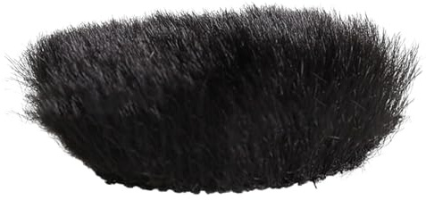 WATERBELINE Windproof Hood,Sports Camera Windshield for G7XII G9X AS300 Repalcement Windcreen Cover Block Noise Improve Sound