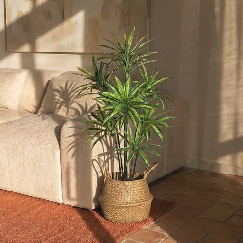 BLAINE Planta Artificial de Dracena Variegata 90 cm Decoración de Interiores y Terrazas con Aspecto Hiperrealista Que No Necesita Mantenimiento