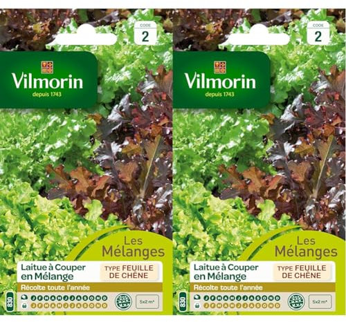 Vilmorin 3609242 Pack de Graines Laitue à Couper en Mélange Bol Vert/Rouge (Lot de 2)
