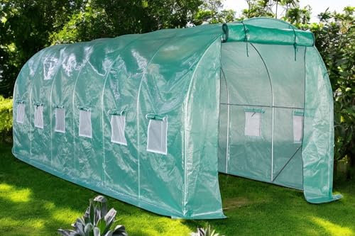 Lendo Online Serra a tunnel 200 x 600 x 200 cm, robusta serra con pellicola in PE resistente ai raggi UV e struttura in acciaio galvanizzato, serra per piante per il giardinaggio di ogni stagione