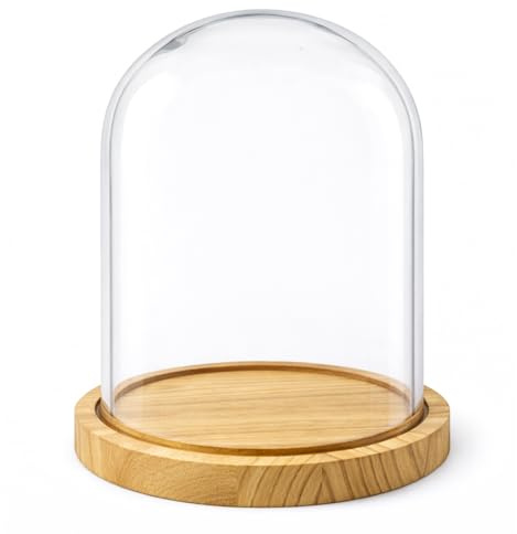 PALUPLUS Campana in Vetro con Base in Legno, Teca in Vetro Trasparente, Espositore per oggetti, composizioni floreali e luci, oggetto decorativo per la tua casa -7960M (23x30cm)