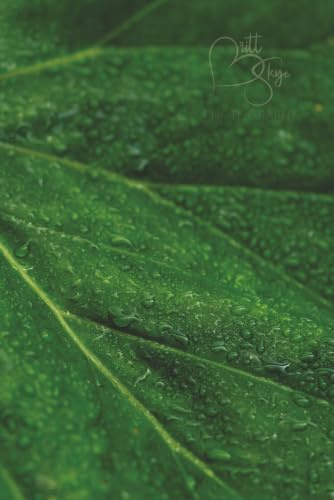 6 x 9 Giant Begonia Journal: Elegant Macro Botanical Lined Notebook