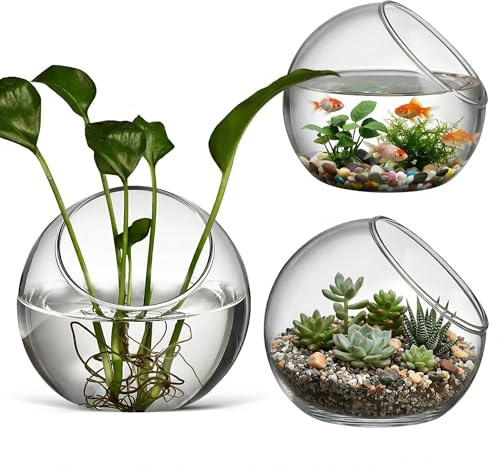 3 contenitori in vetro per terrario da tavolo, vaso in vetro trasparente, ciotola a bolle di vetro, vaso inclinato, ornamento trasparente, vaso per fiori di pesce rosso, candelabro, piante grasse