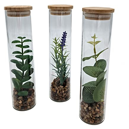 Spetebo Planta artificial en jarrón de cristal aprox. 20 cm – Juego de 3 suculentas en cristal con tapa de madera – Mesa de oficina decorativa habitación planta en jarrón set artificial verde