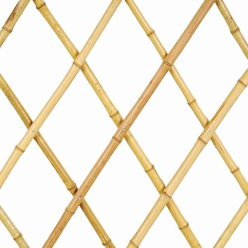 Traliccio Estensibile in Bamboo 180x45 cm a Maglia Diagonale – Grigliato per Rampicanti e Decorazione Giardino, Balcone, Terrazzo – Colore Naturale, Confezionato Termoretraibile