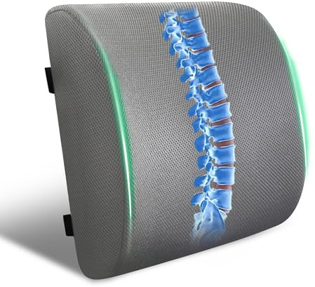 FuturaLoom Lumbar Support Pillow for Office Chair and Car,Back Support for Office Chair,Charcoal Memory Foam Back Cushion with Breathable Mesh Cover,Double Adjustable Straps,Grey