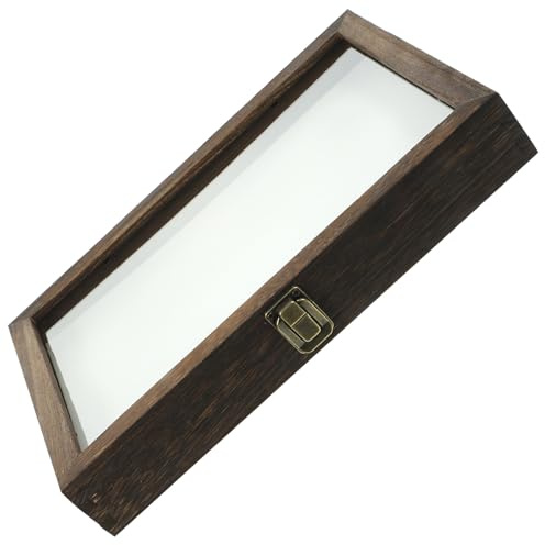 DEARMAMY Caja de Exhibición Tipo Vitrina para Especímenes de Insectos de Madera de Pino Tamaño 31X22X4 CM con Tapete para Alfileres Tapa Transparente y Cierre Metálico Adecuado