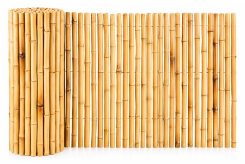 Floordirekt | Canisse bambous Ronds | Paravent | Robuste et résistant aux intempéries | Idéal Brise-Vue pour Balcon, terrasse et Jardin | Diamètre Ø 26 mm | Naturel, 150 x 250 cm