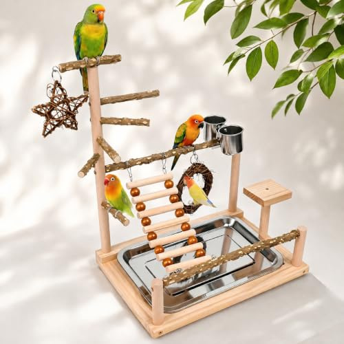 Xygobla Wooden Bird Playground Stand | Parrot Play Stand with Feeder Cup, Swing, Ladder & Tray, Training Perch Exercise Toys for Parakeets, Cockatiels
