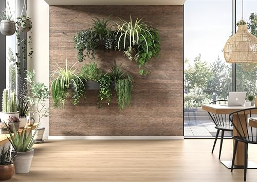 EGGER DecoWall Annaba Eiche Natur - umweltschonende Alternative zu herkömmlichen Wandverkleidungen, Holzverkleidungen, Wandpaneelen, Deckenverkleidung - OSB (1250 mm x 660 mm) - Neue Versandverpackung