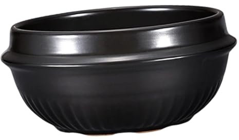 Cabilock Olla De Cerámica Para Cocinar Cazuela Pequeña Ideal Para Guisos y Sopas