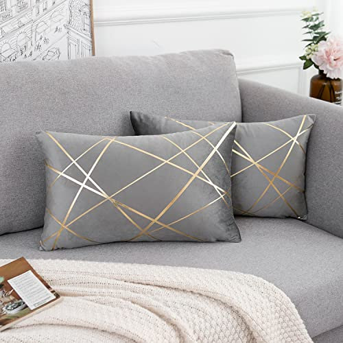 2er Set Samt Kissenbezüge 30x50 cm Grau Geometrie Bronzieren Dekokissen Kissenhülle Sofakissen Couchkissen Dekorative Kissen Kissenbezüge Outdoor Zierkissen Bezug für Schlafzimmer Sofa Bett Sommer