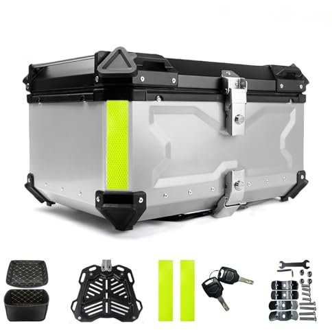 Qawner Bauletto universale per motocicletta, impermeabile, in alluminio, per vano bagagliaio, Dual Key, custodia per carrier, top box, valigetta per la conservazione di caschi (Argento, 65L)