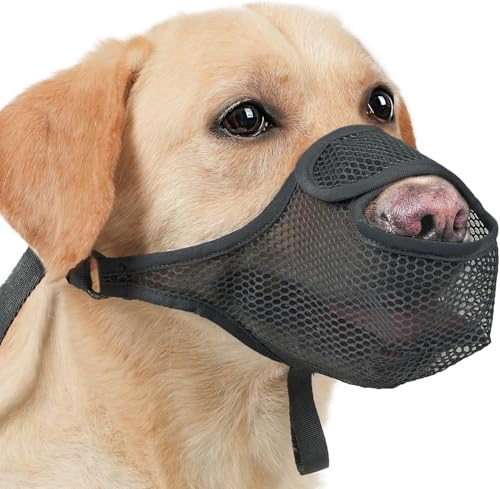 JAONLD munkorg för hundar justerbar hund munkorg med kardborreband | Extra stor husdjursmask för medelstora och stora hundar lämplig för att skydda mot att äta, tugga och skälla (XL)