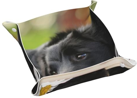 InOmak Cani Black Labrador Camomilla Black Retriever, Vassoio portaoggetti in pelle Organizzatore di gioielli Vassoio raccoglitore da tavolo, Piastra organizer per comò,M