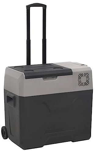vidaXL 40 L Portable Cool Box - High-Efficiency Compressor for Quick Cooling, Car Battery Protection, Dual cooling Modes, Anti-Vibration Design - Black&Grey, Perfect for Outdoor Activities