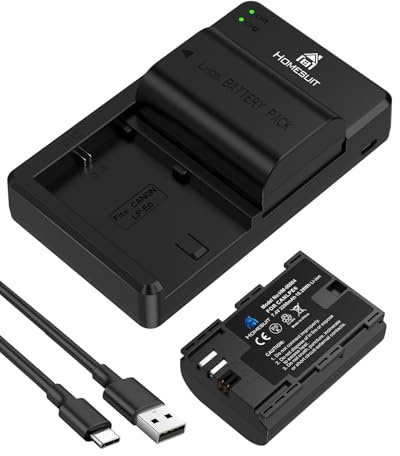 Homesuit LP-E6 LP-E6N Akku 2200mAh und USB LED Dual Ladegerät für Canon EOS 5D Mark IV, 5D Mark II, 5D Mark III, 6D Mark II, 7D Mark II, 60D, 60Da, 70D, 80D, 90D und mehr (2er-Pack)