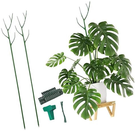Supporto per piante estensibile, in plastica, per giardino, Monstera, piante rampicanti, filodendro, cespugli, rose o orchidee