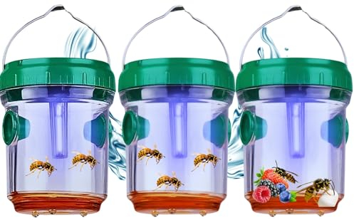 3 x Stück Ausbruchsichere Lebend Wespenfalle mit Solar: 8 Stunden Leuchtkraft im Dunkeln mit Lilanen-Anlockt Licht, EIN-/Ausschalter, zum Aufhängen und Stellen- Tierfreundlich (3 Fallen)