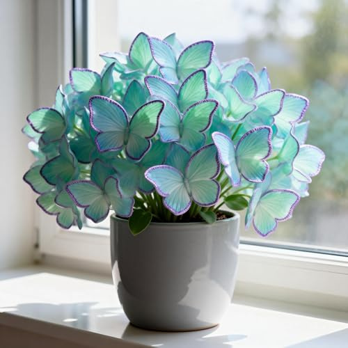 Hosta&flor de mariposa&Los Hosta se utilizan para el cultivo y crecen rápidamente.perenne,de rápido crecimiento/decoración interior y exterior-4tubérculos-A