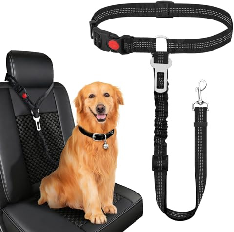 2-in-1 Hunde-Anschnallgurt, Verstellbare Autoleine Mit Ruckdämpfer