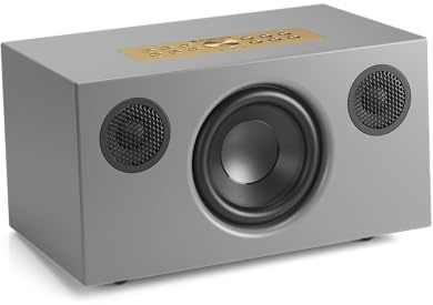 Audio Pro C5 MkII W Altoparlante Multiroom Wireless 40W Amplificatore Classe D AirPlay 2, Google Cast, Spotify Connect, Bluetooth 4.2, Uscita Subwoofer (Grigio)